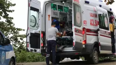 Trabzon'da kamyonet fındık bahçesine yuvarlandı: 2 yaralı