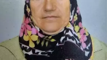 Ordu'da geri manevra yapan kamyonetin altında kalan yaşlı adam hayatını kaybetti