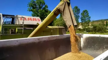 Gölpazarı Belediyesi Tarım Arazi Değerlendirmesine Devam Ediyor