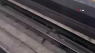 Ankara'da Metro Raylarına Giren Kedi Kurtarıldı