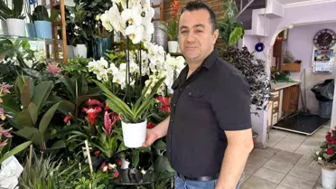 Eskişehir'de Gece ile Gündüz Sıcaklık Farkı Artıyor: Bitki Bakımına Dikkat!
