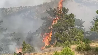 Eskişehir'deki Orman Yangını Söndürme Çalışmaları Devam Ediyor