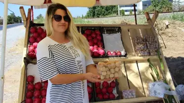Altın Çilek: Dünyanın En Zengin Lif Oranına Sahip Meyve