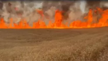 Sivas'ta Çıkan Yangınlar Büyük Zarara Yol Açtı