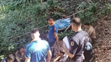 Orman İşçisi Ağacın Altında Hayatını Kaybetti