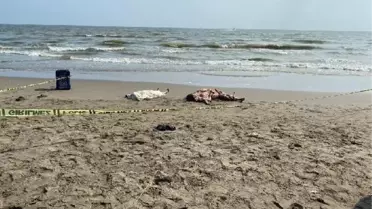 Mersin'de Denizde Boğulan Kardeşlerin Cenazesi Hatay'da Defnedildi