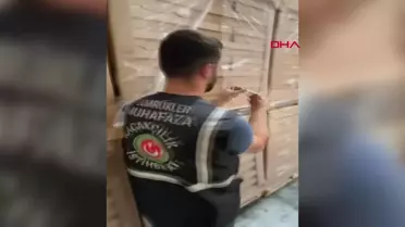 Muratbey Gümrük Müdürlüğü'nde 19 Milyon Sigara Filtresi Ele Geçirildi