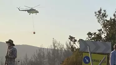 Karacabey'de çıkan yangın ormana sıçradı