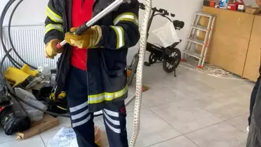 Erzincan'da Ofise Giren Zehirli Yılan Korkuttu