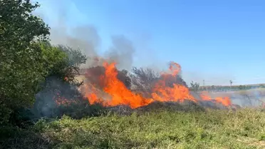 Tekirdağ Marmara Ereğlisi'nde Yangın Kontrol Altına Alındı