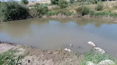 Ağrı'da Nehirde Serinlemek İsterken Hayatını Kaybeden Çocuk