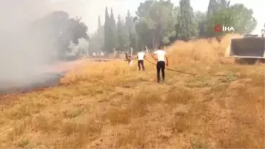 Çanakkale'de ağaçlık alanda yangın