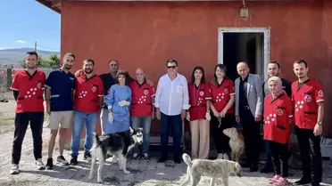 Ardahan'da Hayvan Barınağında Kısırlaştırma ve Aşılama İşlemleri Yapıldı