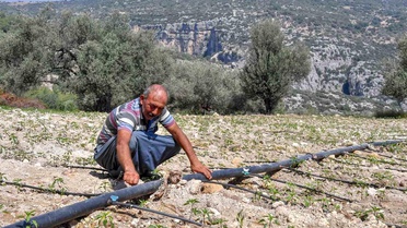 Mersin Büyükşehir Belediyesi Tarımsal Destekleriyle Zeytin Üreticisine Yardım Etti