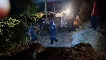 Çorum'da Köprüden Düşen İnek İtfaiye Tarafından Kurtarıldı