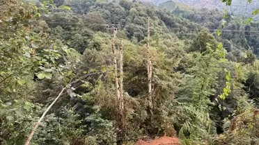 Rize'de Şiddetli Yağışlar Sonrası 39 Konut Boşaltıldı