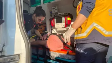 Rize'de salıncakta sallanan kişi, ineğe çarptıktan sonra baygınlık geçirdi