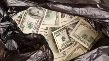 Bulduğu dolar dolu çanta başına dert oldu! İçindeki tutar kadar ceza alabilir