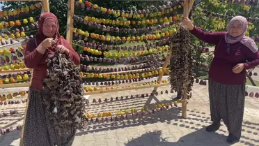 Kayseri'de Kadın Kooperatifi Yöresel Ürünleri Tüketiciyle Buluşturuyor