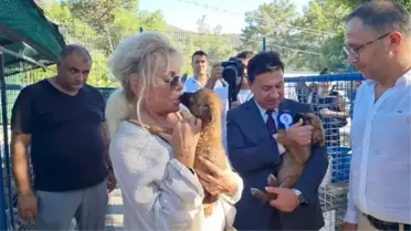 Ajda Pekkan Bodrum'da hayvan barınağını ziyaret etti