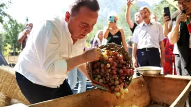 Uluslararası Food Fest Antalya Gastronomi Festivali'nde Mor Üzüm Hasadı Yapıldı