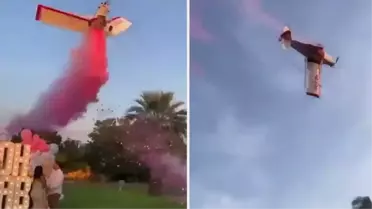 Meksika'da cinsiyet açıklama partisinde uçak düştü, pilot hayatını kaybetti