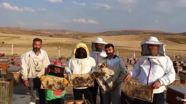 Sivas Tarım ve Orman Müdürü bal hasadına katıldı