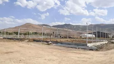 Muş Belediyesi Kendi Çiçeklerini Üretecek: Bin 530 Metrekarelik Sera Projesi Devam Ediyor