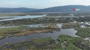 Karacabey Longoz Ormanları'nda Sonbahar Manzaraları