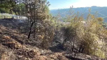 Antakya'da çıkan orman yangını büyümeden söndürüldü