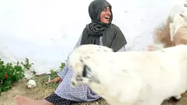 Yıldız Tilbe Sokak Hayvanlarıyla Buluştu