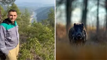 Bursa'da domuz avında kaza! 2 çocuk babası oracıkta hayatını kaybetti