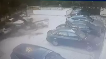 Kadıköy'de ağaç devrilmesi sonucu apartman sakinlerine icra gönderildi