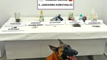 Trabzon'da Jandarma Operasyonunda Uyuşturucu Maddeler Ele Geçirildi