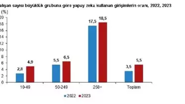TÜİK: Türkiye'deki Girişimlerin Yüzde 96'sı İnternet Erişimine Sahip