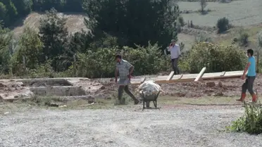 Bolu'da kuyuya düşen boz ayı 13 saat sonra kurtarıldı