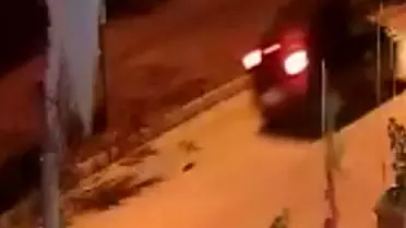 Elazığ'da kedi otomobilin altında ezildi