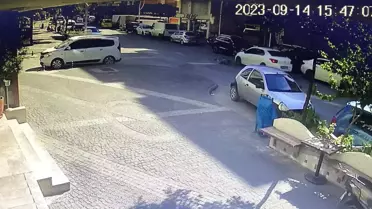 Manavgat'ta otomobil çocuğa çarptı
