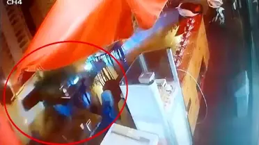 Diyarbakır'da Minibüs Kontrolden Çıkarak Pastaneye Girdi