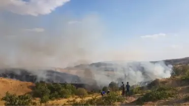 Siirt'te Fıstık ve Üzüm Bağında Yangın