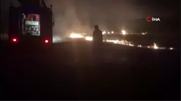 Otluk arazide çıkan yangın geceyi aydınlattı