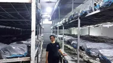Kütahya'da Girişimci Kadın 36 Ton Kapasiteli Kültür Mantarı Üretim Tesisi Kurdu