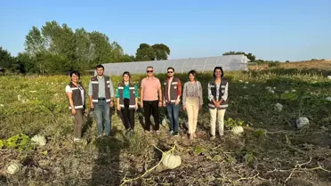 Vizeli Balkız Projesi kapsamında yerli ve milli balkabağı üretimi yapıldı