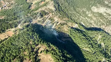 Gökova Körfezi'nde çıkan orman yangını kontrol altına alındı