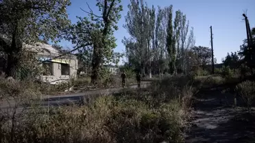 Ukrayna'da Savaşta Zarar Gören Hayvanlar Kurtarılıyor