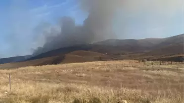 Çankırı'da ormanlık alandaki yangın söndürüldü
