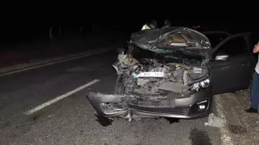 Tekirdağ'da Otomobil Domuz Sürüsüne Çarptı: 1'i Ağır 2 Kişi Yaralandı