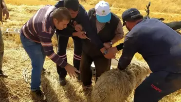 Konya'da Kuyuya Düşen Koyun İtfaiye Tarafından Kurtarıldı