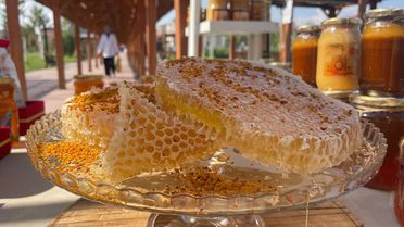 Ağrı'da 6. Geleneksel Bal Festivali Devam Ediyor