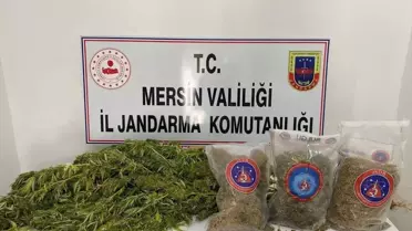 Mersin'de Uyuşturucu Operasyonunda 1 Tutuklama